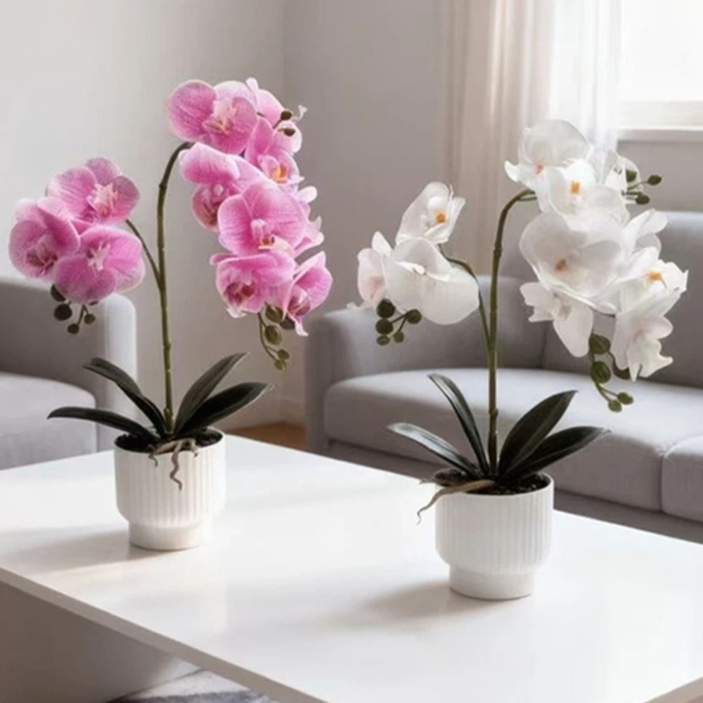 Orchid Phalaenopsis - Anggrek Kupu-kupu Simulasi Multi-Bloom DIY Pot