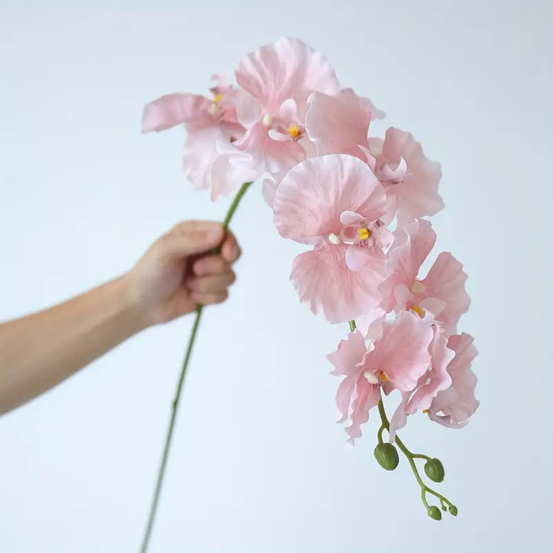 Orchid Phalaenopsis - Anggrek Kupu-kupu Cabang Panjang Bunga Buatan
