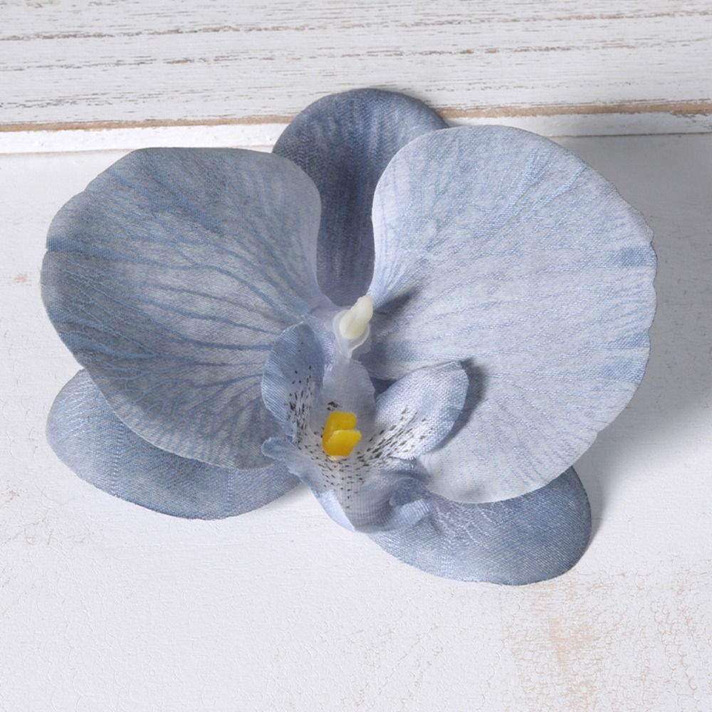 Orchid Phalaenopsis - Kepala Bunga Phalaenopsis DIY 11cm Bunga