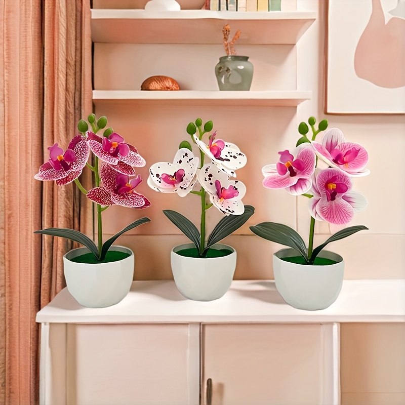 3pcs Anggrek Phalaenopsis Buat - Orchid Phalaenopsis ulasan dan harga