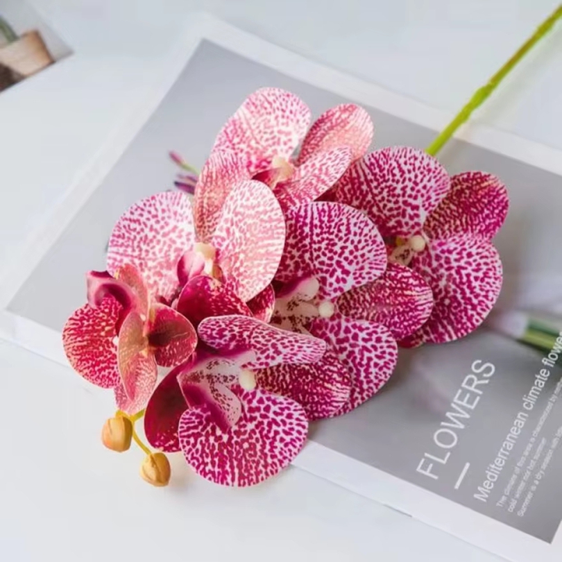 Bunga Buatan 3D Plastik Anggre - Orchid Phalaenopsis ulasan dan harga