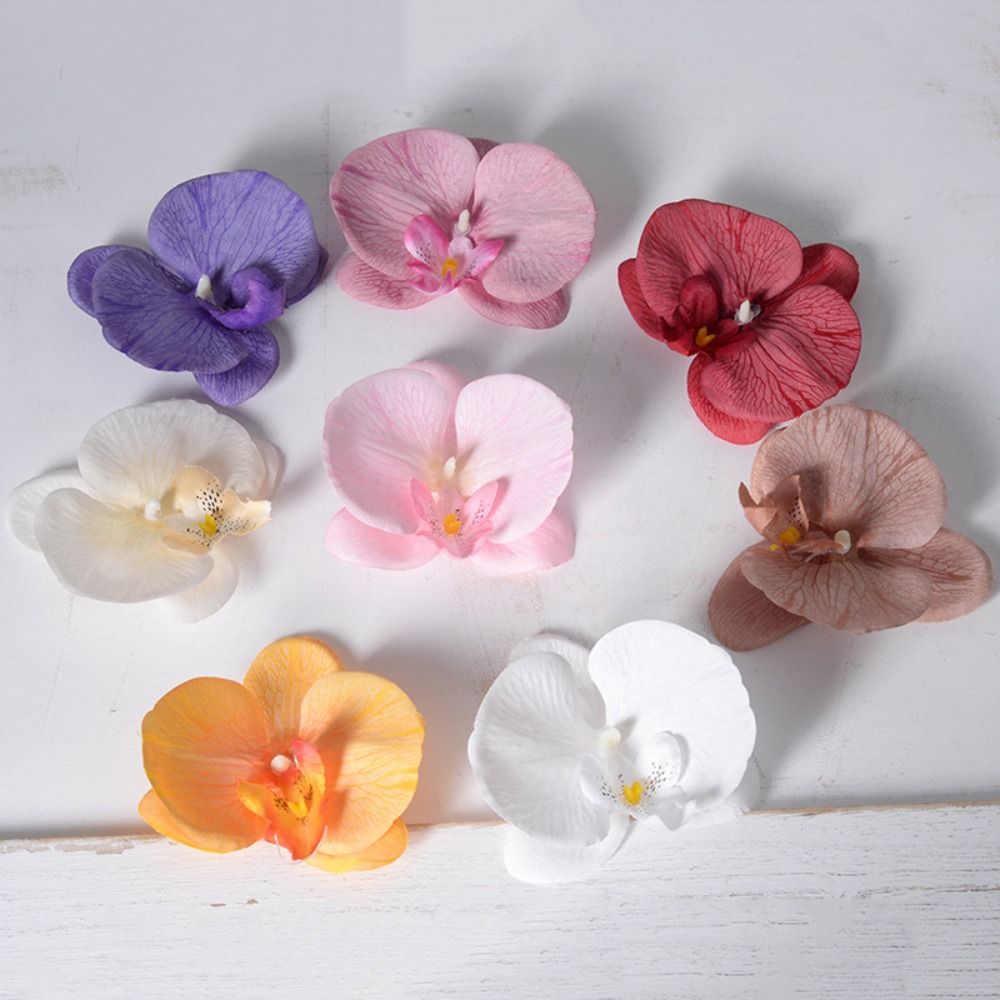 Kepala Bunga Phalaenopsis Buat - Orchid Phalaenopsis ulasan dan harga