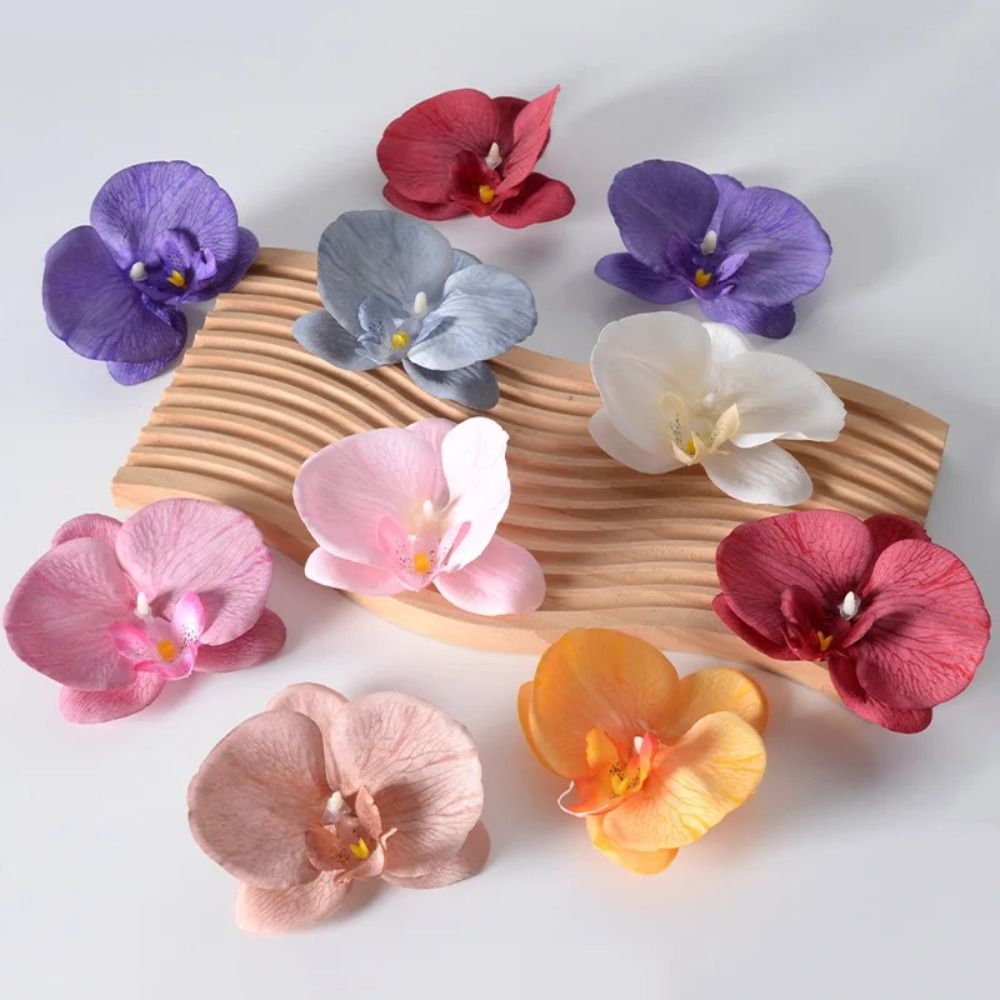 Kepala Bunga Phalaenopsis Buat - Orchid Phalaenopsis ulasan dan harga