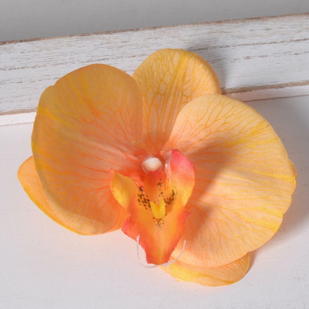 Kepala Bunga Phalaenopsis Buat - Orchid Phalaenopsis ulasan dan harga