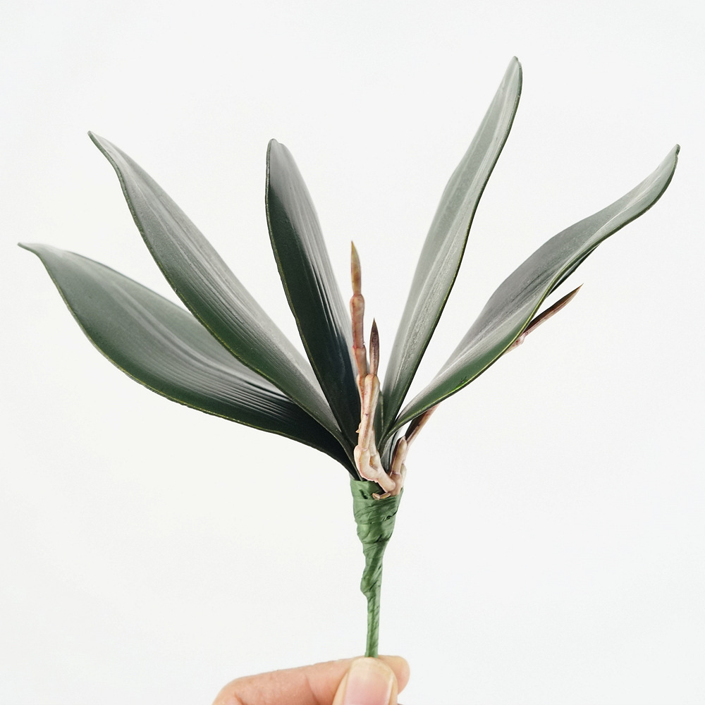 3 Buah Eva Simulasi Daun Phala - Orchid Phalaenopsis ulasan dan harga