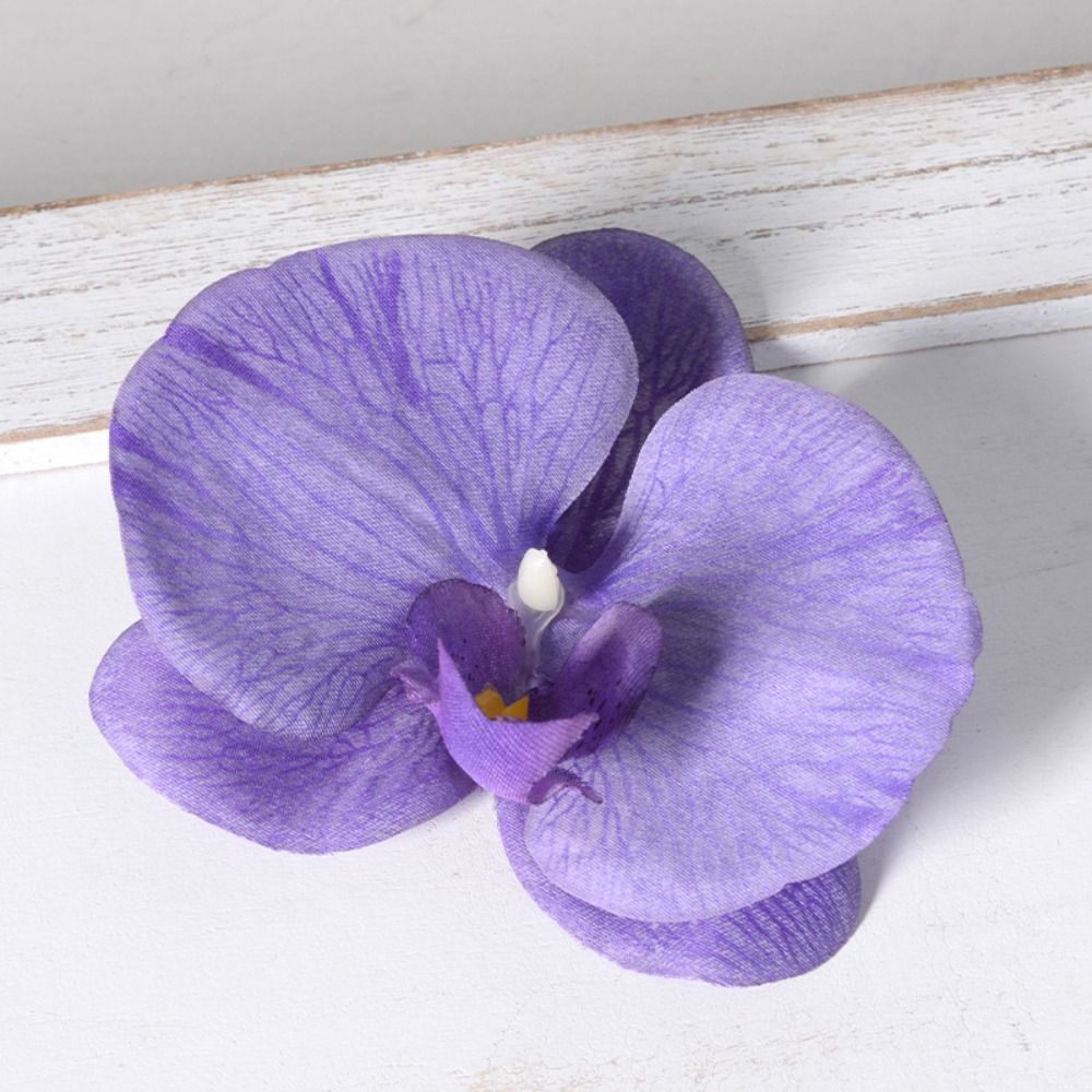 Kepala Bunga Phalaenopsis DIY  - Orchid Phalaenopsis ulasan dan harga