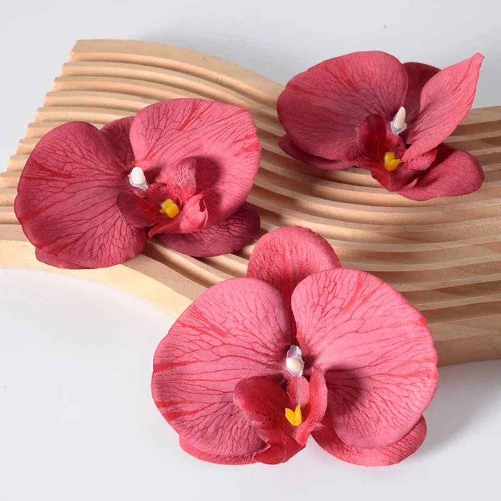 Kepala Bunga Phalaenopsis DIY  - Orchid Phalaenopsis ulasan dan harga