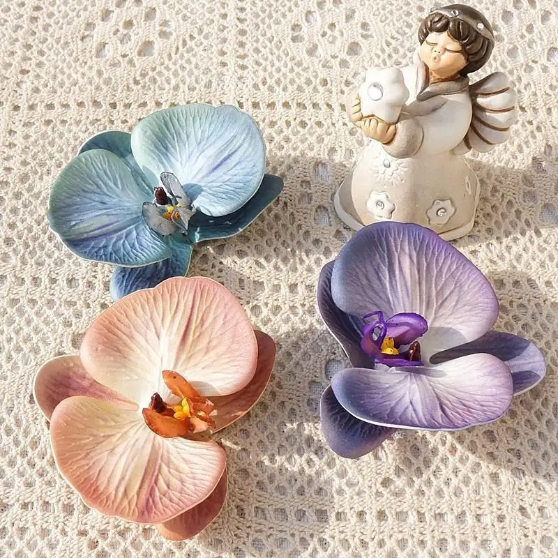 Mahkota anggrek kupu-kupu ceta - Orchid Phalaenopsis ulasan dan harga