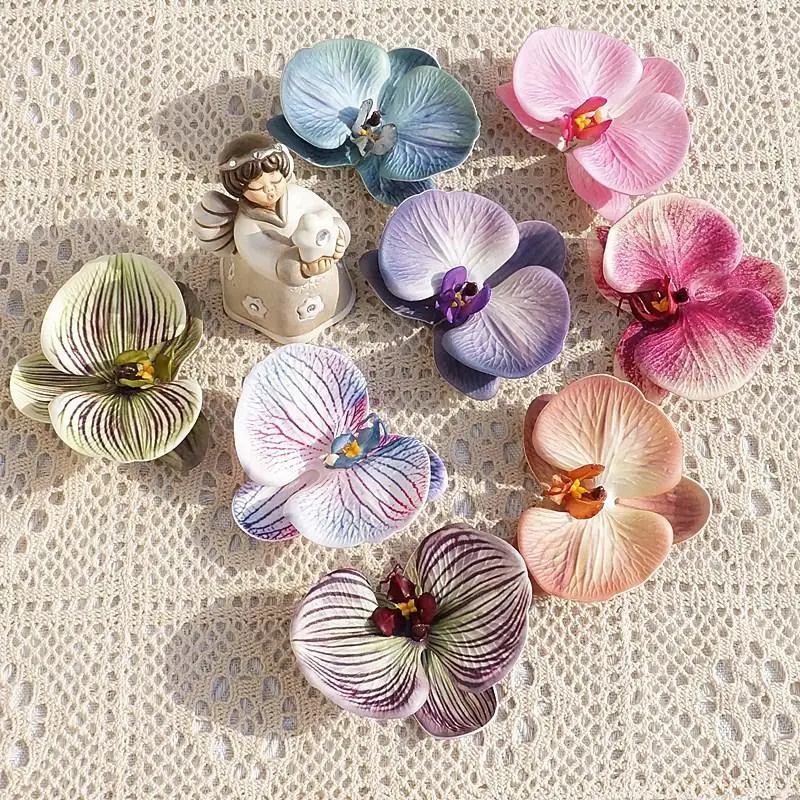 Mahkota anggrek kupu-kupu ceta - Orchid Phalaenopsis ulasan dan harga