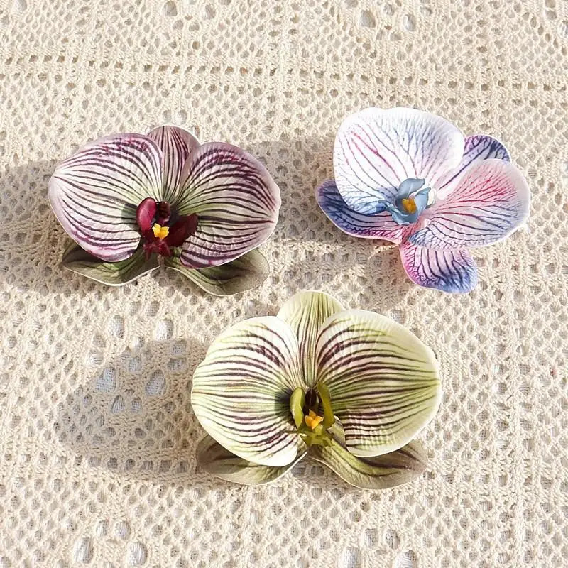 Mahkota anggrek kupu-kupu ceta - Orchid Phalaenopsis ulasan dan harga