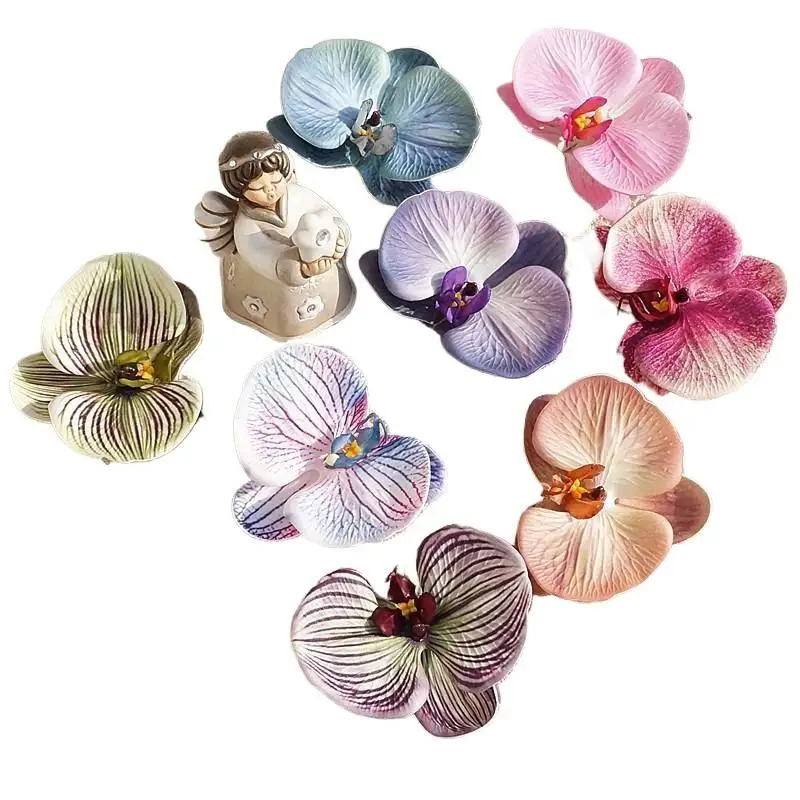 Mahkota anggrek kupu-kupu ceta - Orchid Phalaenopsis ulasan dan harga